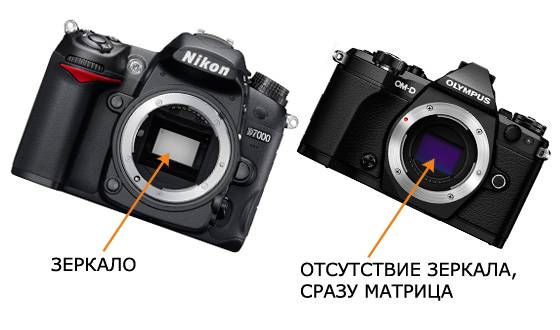 Разница между зеркальным, беззеркальным и компактным фотоаппаратом