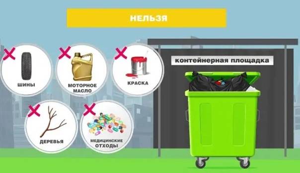 Все о раздельном сборе отходов: ответы на самые популярные вопросы москвичей
