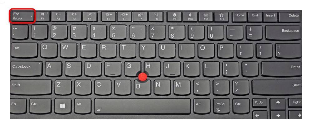 Что делать, если не работает часть клавиатуры на ноутбуке?
