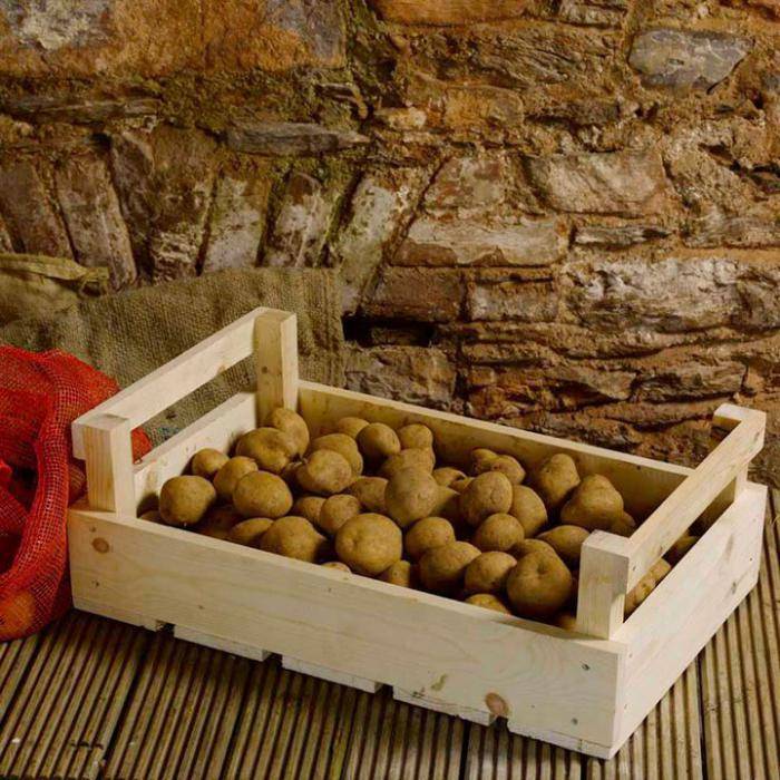 Как хранить картошку в квартире: температура хранения картофеля