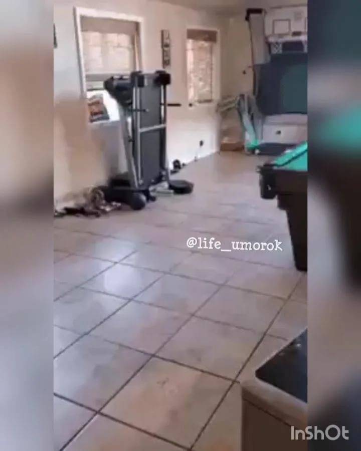 Летающий робот совершил атаку на людей. началось восстание машин?