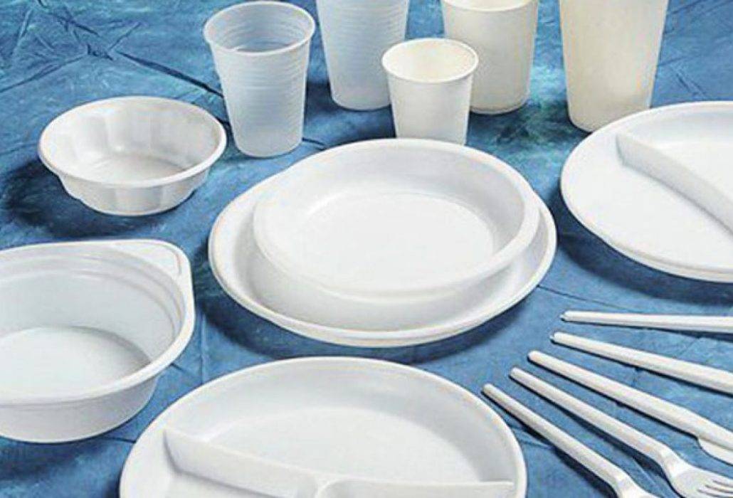 Производство одноразовой посуды: бизнес план с расчетами