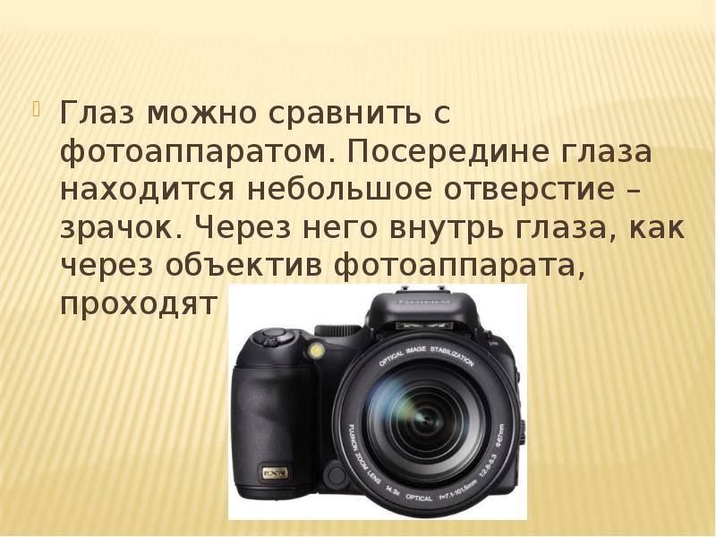 День юного фотографа в средней группе