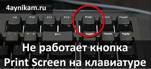 Не работают некоторые кнопки на клавиатуре ноутбука: как исправить