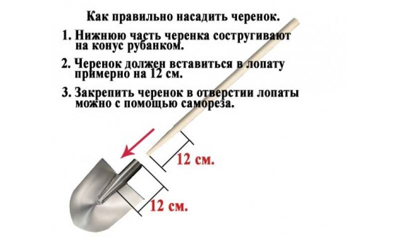Зачем у лопаты верхний край. Заточка лопаты штыковой правильная. Черенок диаметром 110 мм на лопату. Лопата БСЛ-110 чертеж. Правильная насадка штыковой лопаты.