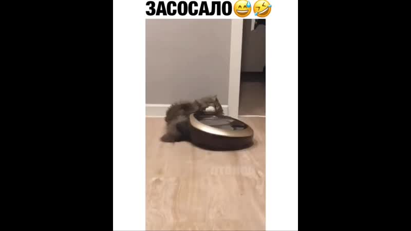 Как выбрать хороший робот пылесос — отличия и топ лучших моделей.