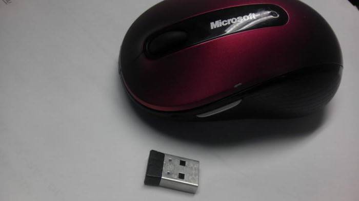 Как подключить беспроводную мышь к ноутбуку или компьютеру?