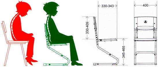 Детский ортопедический стул для школьника: виды и конструктивные особенности
