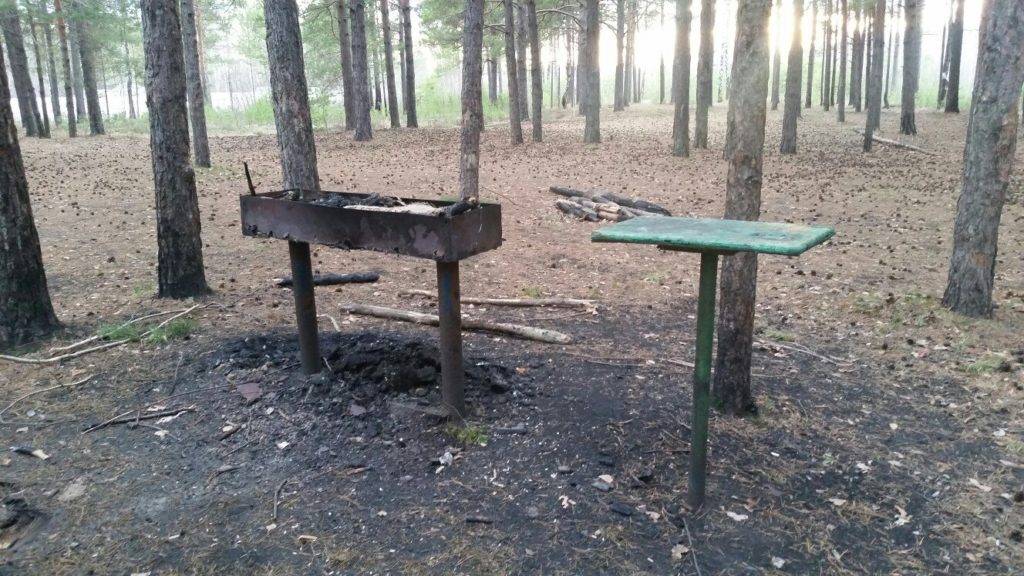 Жарить шашлыки и разводить костры теперь будем по-новому — закон 2021 года