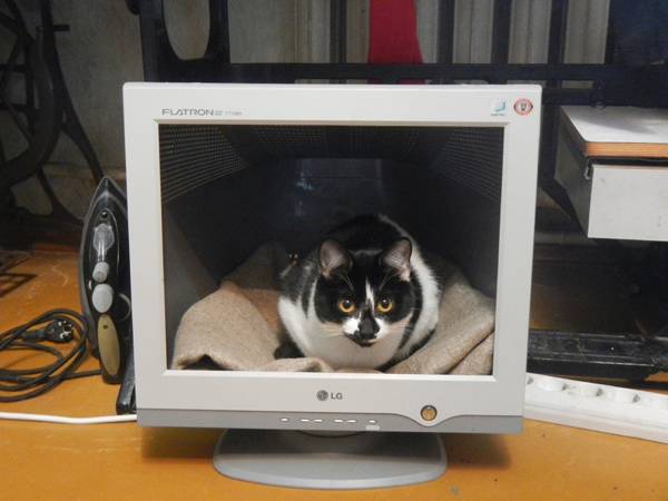 Старый монитор от компьютера как использовать - ichudoru.com