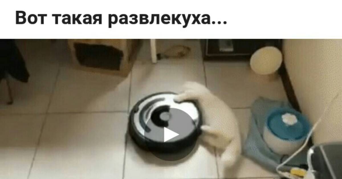 Самые лучшие роботы-пылесосы с влажным типом уборки