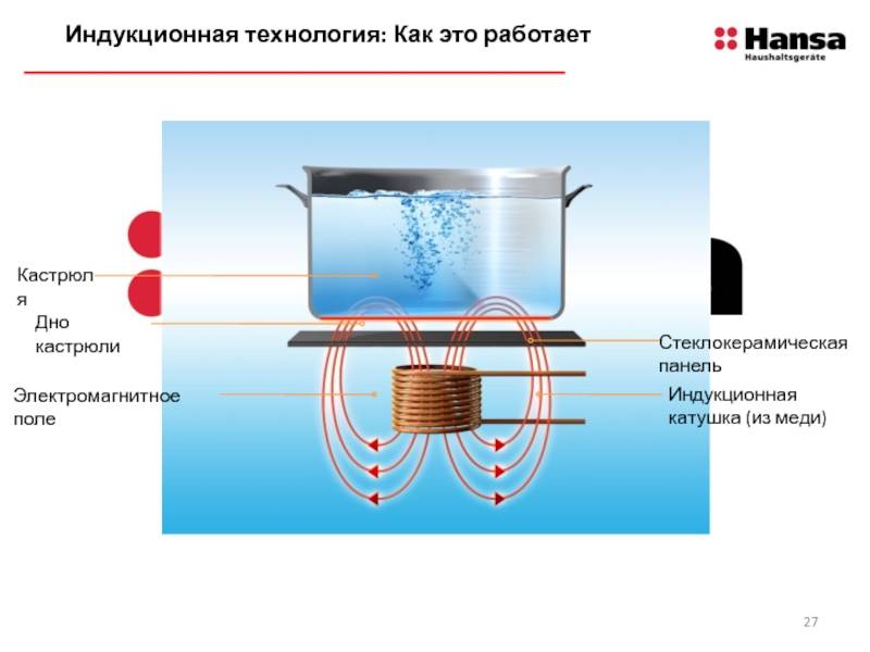 Готовим на даче: выбор лучшей индукционной плиты