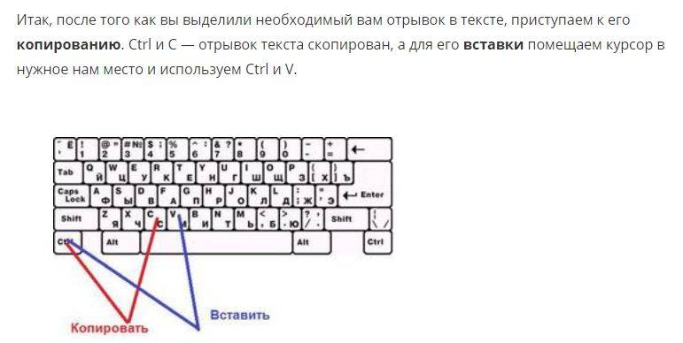 Как скопировать изображение на ноутбуке