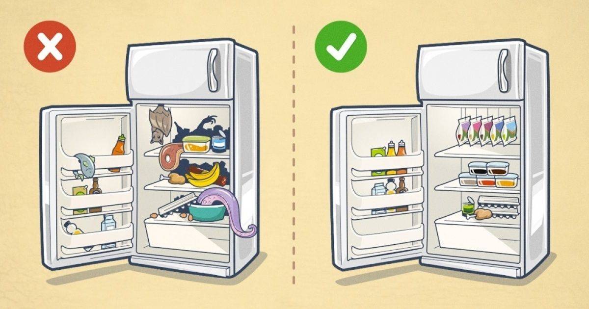 Организация хранения в холодильнике: температурные зоны, сроки