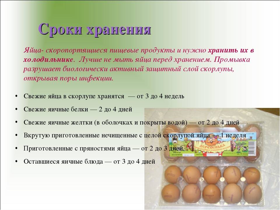 Советы опытных птицеводов: сколько дней хранятся домашние яйца в холодильнике