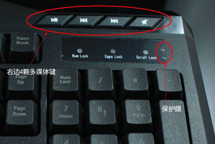 Где находится кнопка scroll lock на ноутбуке?