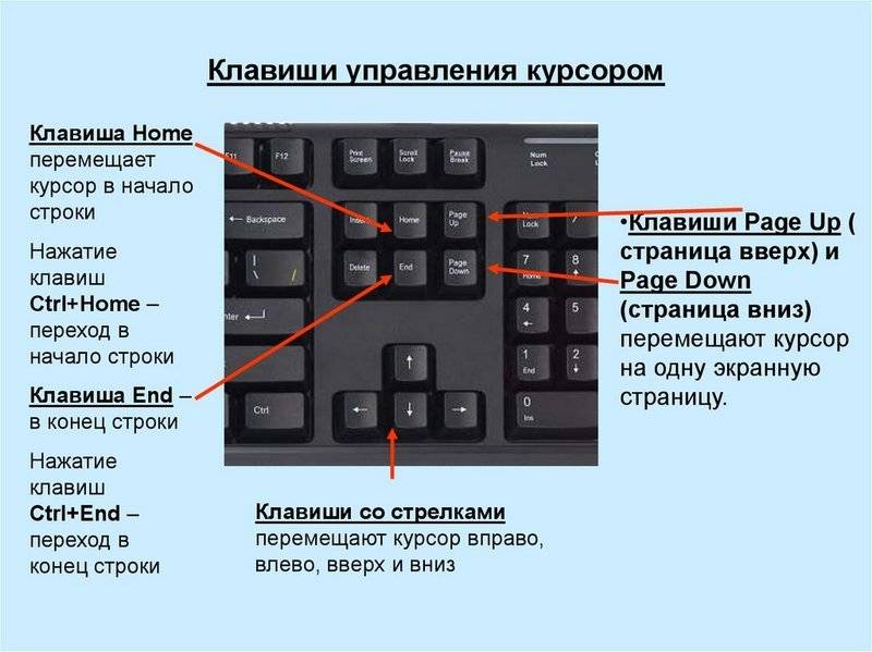 Как скопировать текст с картинки на компьютере с помощью клавиатуры