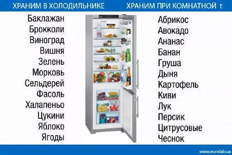 Какая полка в холодильнике самая холодная: где самое холодное место в холодильнике, вверху или внизу, кроме морозилки