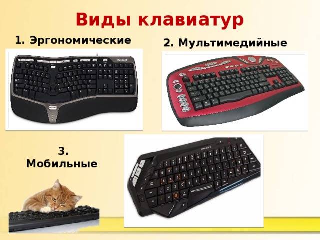 Назначение клавиш клавиатуры ноутбука и компьютера с описанием функций кнопок