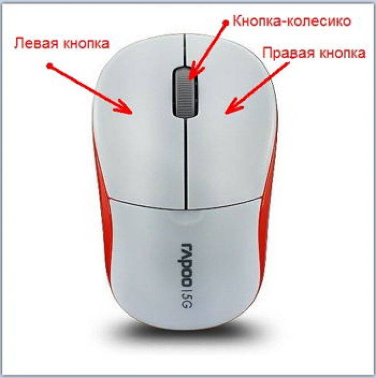 Как разблокировать мышку. Кнопки мыши ЛКМ ПКМ. Компьютерная мышь левая кнопка. Кнопки компьютерной мыши. Компьютерная мышка с подписями.