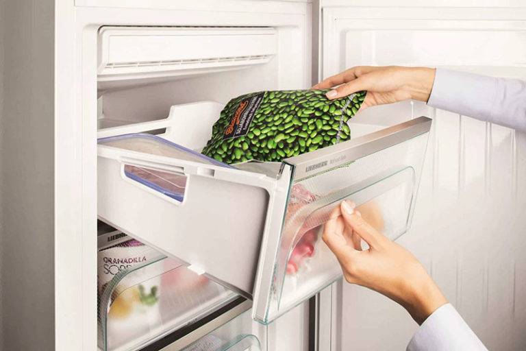 Как быстро разморозить холодильник: правила размораживания холодильника и морозильной камеры