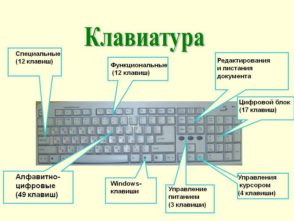 Как поставить русский язык на клавиатуре компьютера. Клавиши на клавиатуре. Клавиатура кнопки. Функциональные клавиши. Цифровые клавиши.