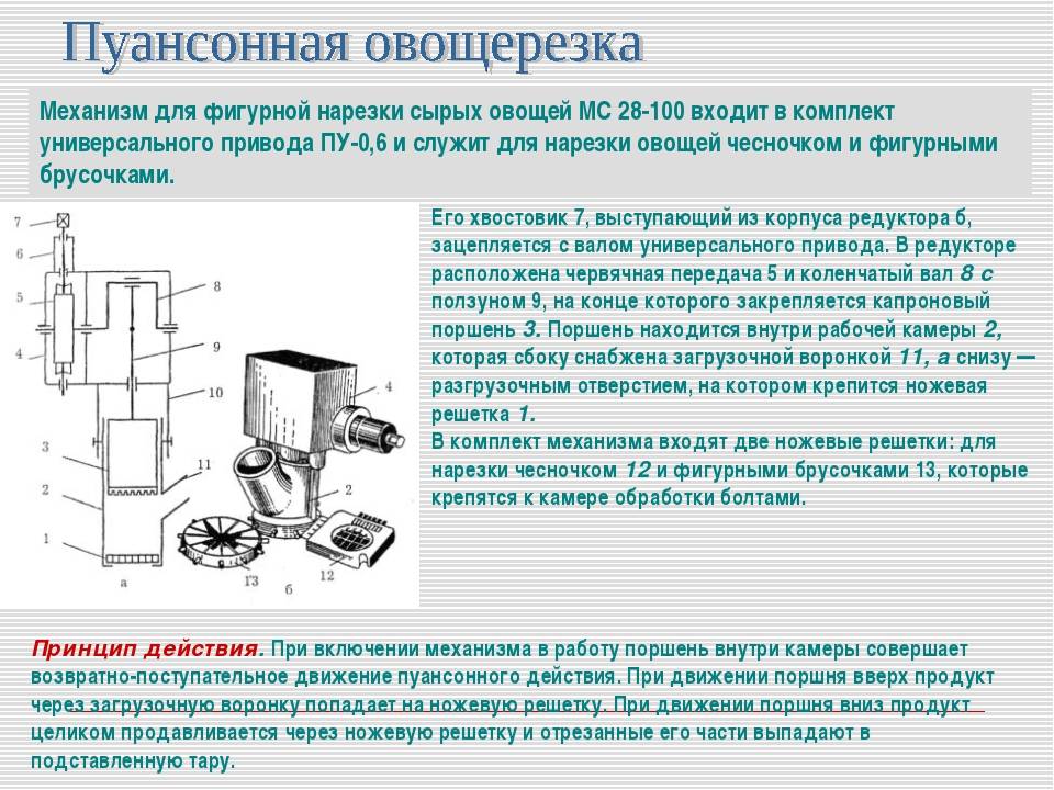 Овощерезательная машина презентация