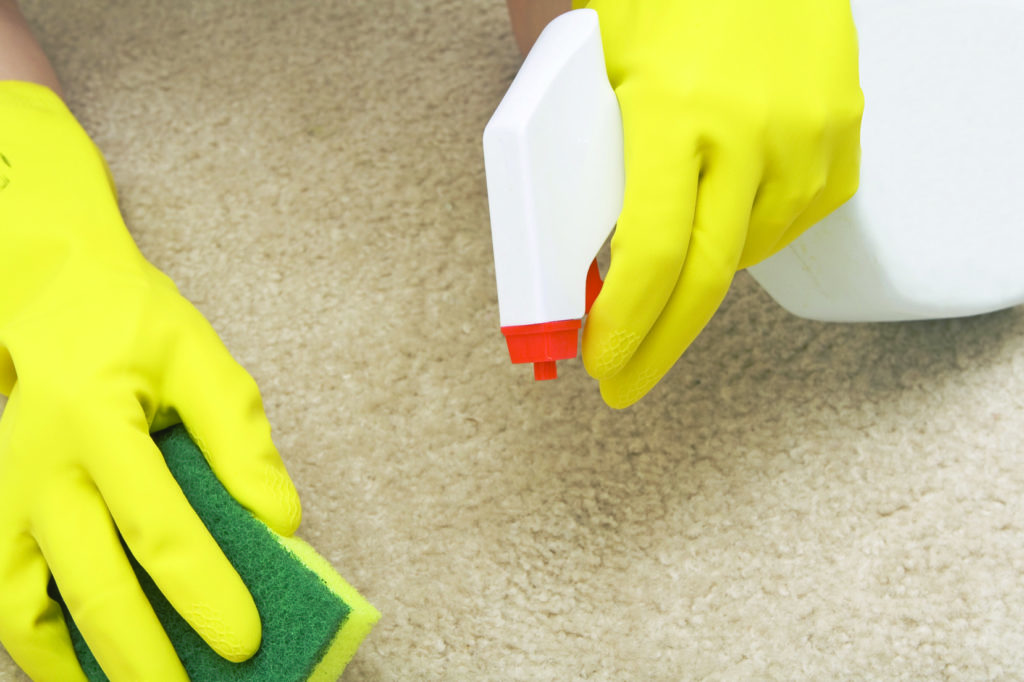 Чем почистить диван из ткани в домашних условиях (из светлой, белой и темной обивки), чем отмыть различные пятна?