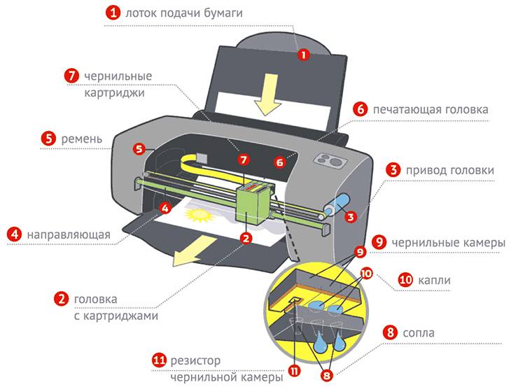 Что такое лазерный принтер, как работает, из чего состоит, как устроен