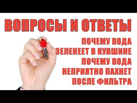 Почему в аквариуме зеленеет вода и как с этим бороться