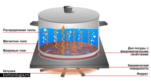Индукционная плита: плюсы и минусы, преимущества перед электрическими