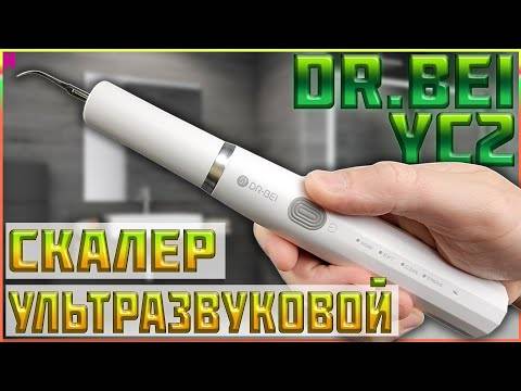 Чистка зубов собаке ультразвуком без наркоза - зоомедик