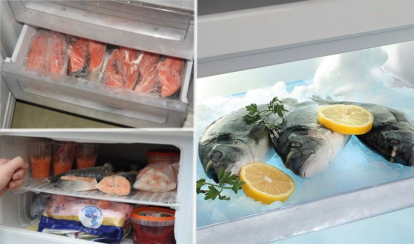 Почему в холодильник нельзя ставить горячее, а также можно ли помещать в холодильную камеру горячий суп