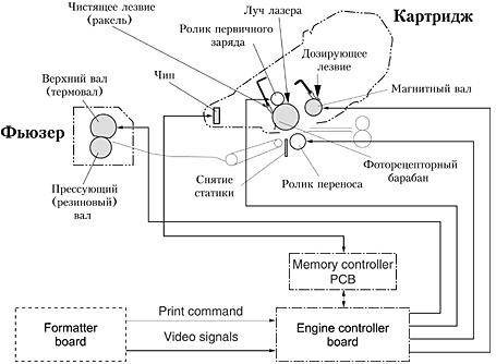 Принцип работы лазерного принтера: устройство, схема действия