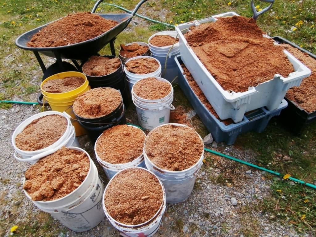 Опилки как удобрение: как применять и вносить древесный перегной в почву в огороде, используем компост из навоза и мочевины