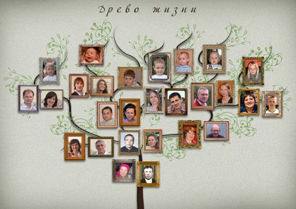 Семейное древо шаблон для школьника