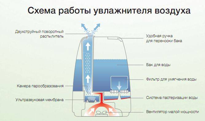 Как выбрать увлажнитель воздуха — ferra.ru