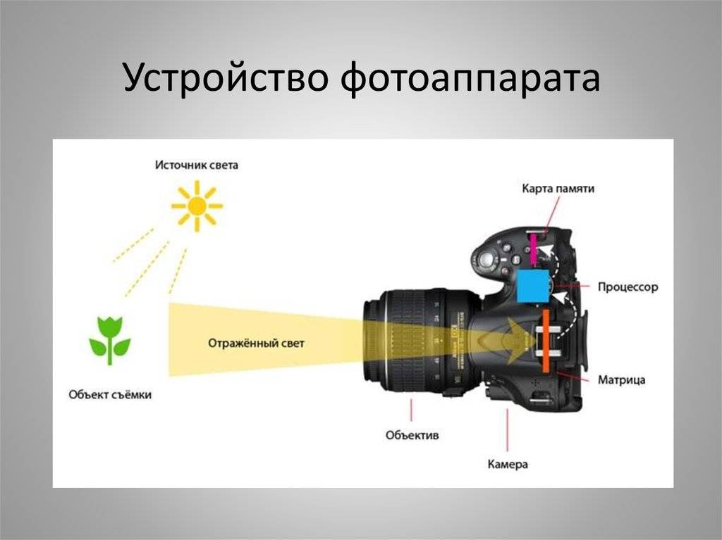 Как устроен объектив фотоаппарата