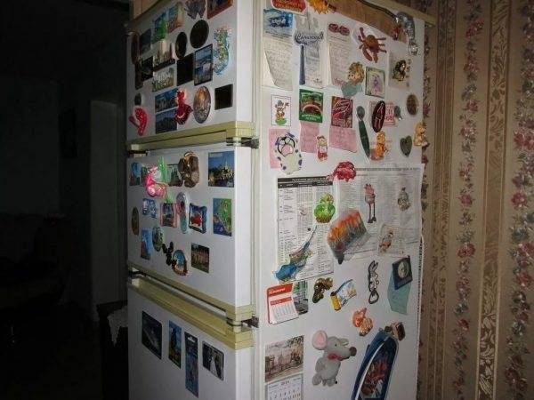Вешать или не вешать магниты на холодильник: может ли сувенир нанести вред технике