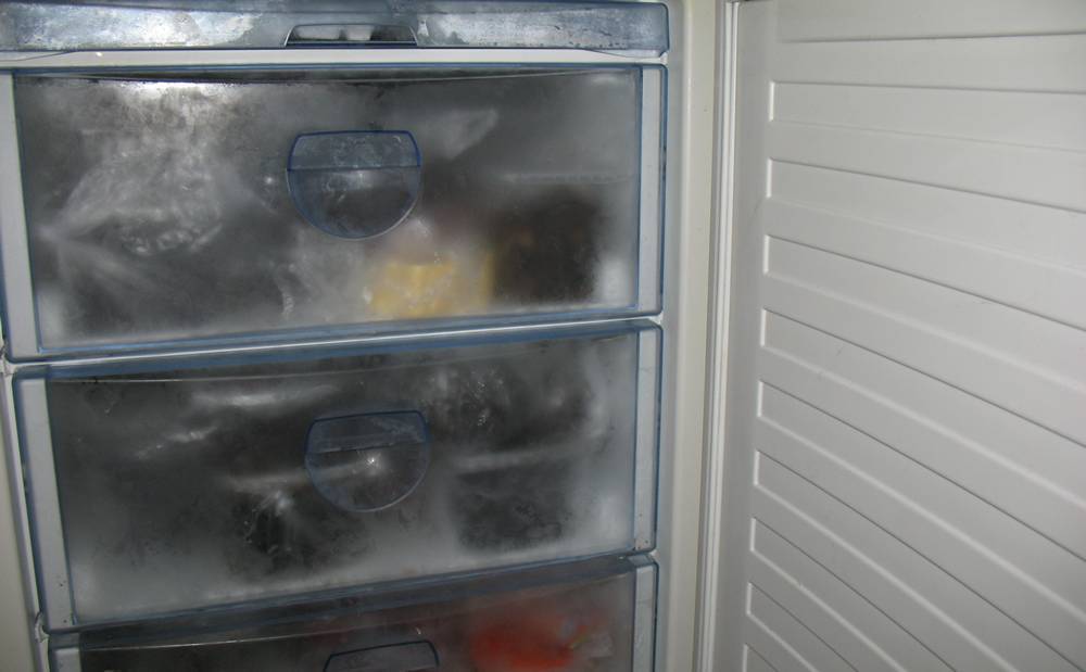 Размораживают ли холодильники ноу фрост