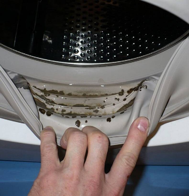 Как избавиться от плесени в стиральной машине – 4 способа и 5 советов