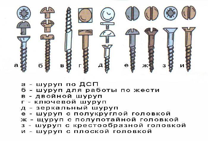 Какие бывают саморезы по дереву: виды и их размеры