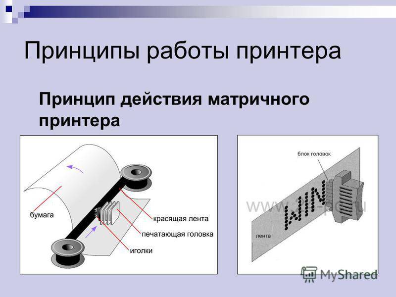 Принтер формирующий изображение ударами иголок печатающей головки через красящую ленту называется