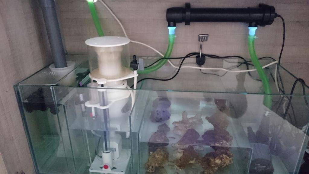 Погружной стерилизатор для аквариума: как работает и зачем нужен?