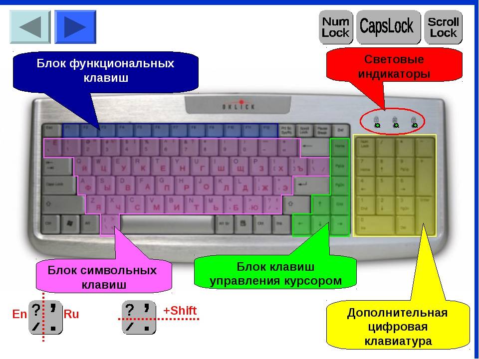 Не работает часть клавиатуры на ноутбуке: что делать и как исправить
