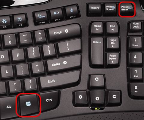 Где находится кнопка scroll lock на ноутбуке? - блог про компьютеры и их настройку