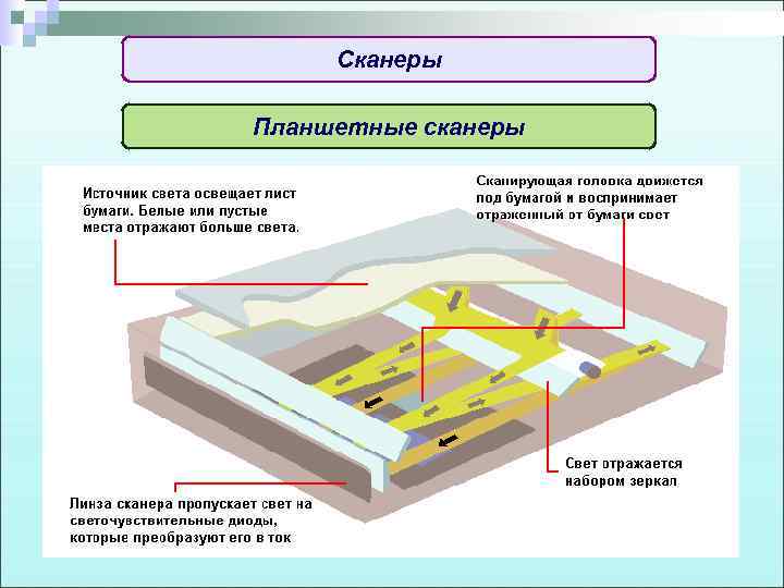 На какой позиции окажется товар сканер планшетный. Принцип сканирования планшетного сканера. Принцип действия планшетного сканера. Конструкция сканера. Принцип работы планшетного сканера кратко.