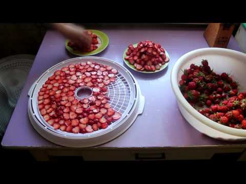 Как сушить фрукты и ягоды в домашних условиях правильно
