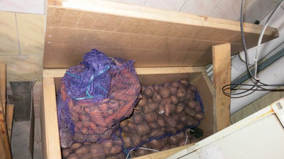 Как хранить картошку в квартире: условия хранения, чтобы не испортилась и не прорастала