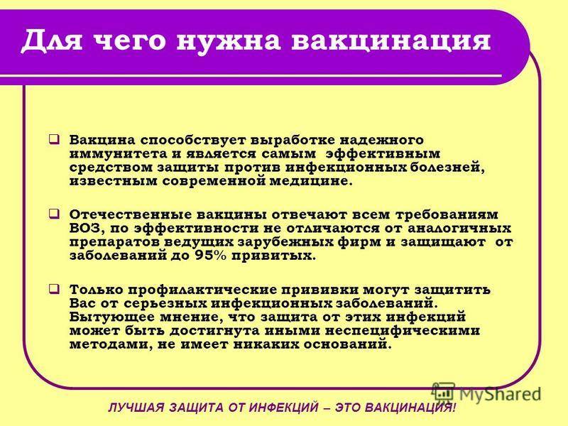 Какую мультиварку выбрать в дорогу – модели мультиварок для путешествий